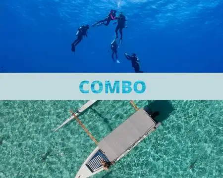 Combo snorkeling, déjeuner motu et plongée sous-marine