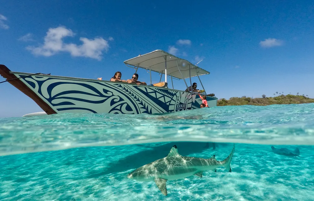 Pirogue polynésienne et requin à pointes noires dans le lagon turquoise de Bora Bora