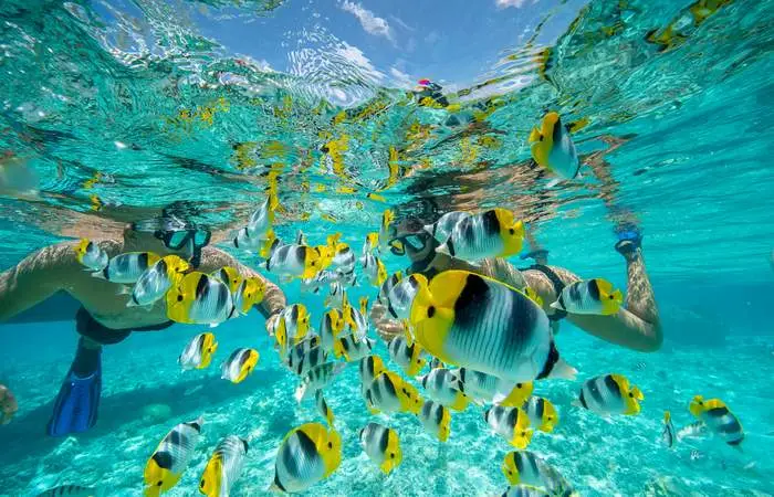 Tour sur le lagon en bateau de plaisance à Bora Bora