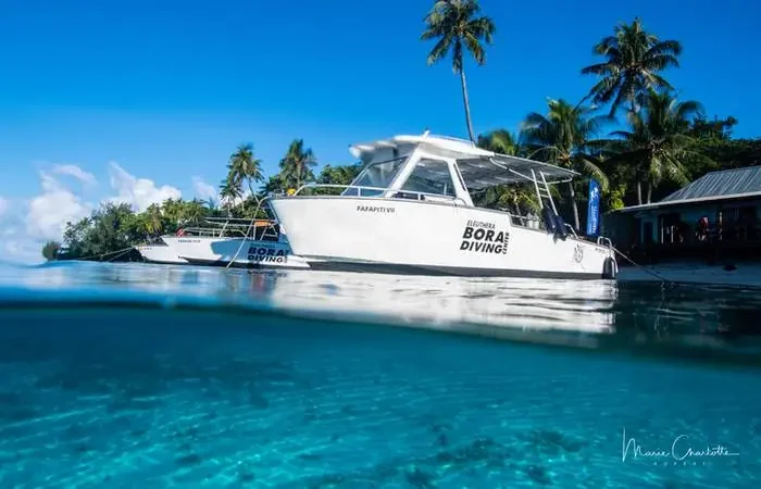 Plongée sous-marine avec Eleuthera à Bora Bora