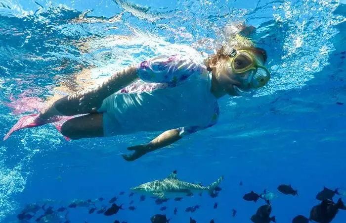 Requins dans le lagon de Bora Bora