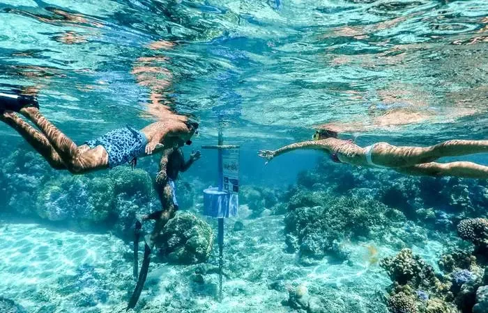 Poissons dans le lagon de Bora Bora