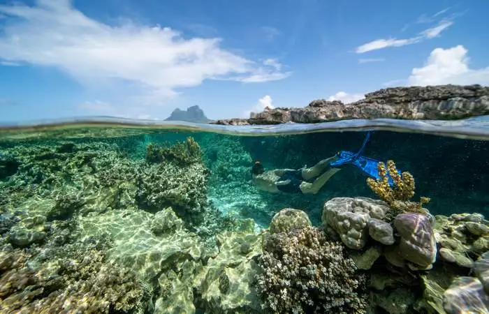 Jardin de corail de Bora Bora