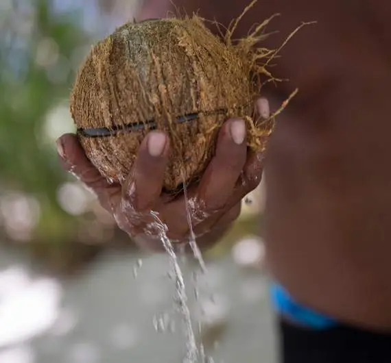 Tour sur le lagon avec déjeuner sur le motu à Bora Bora