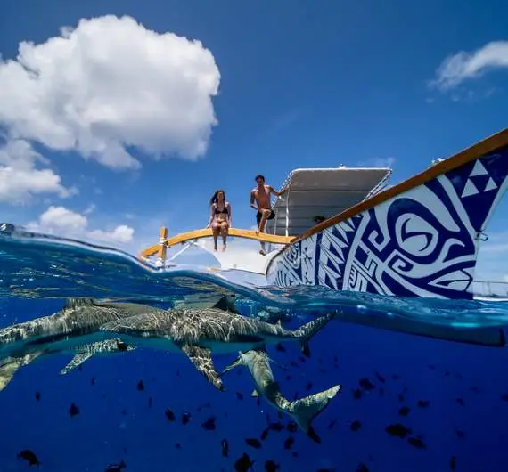 Tour sur le lagon avec déjeuner sur le motu à Bora Bora