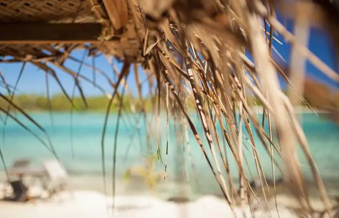 Buffet sur le motu à Bora Bora