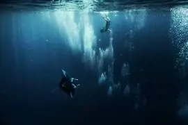 Snorkeling en groupe en bateau de plaisance
