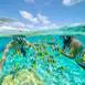 Tour sur le lagon en bateau de plaisance à Bora Bora