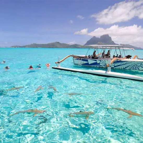 Une expérience sur le lagon avec Lagoon Service à Bora Bora