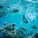 Tour Luxury sur le lagon de Bora Bora