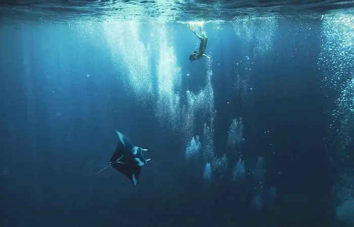 raie-manta-lagon-snorkeling-bora-borademi-journee-groupe-tour-en-bateau-a-moteur
