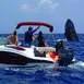 bora-bora-tour-prive-bateau-observation-des-baleines