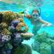 bora-bora-snorkeling-demi-journee-prive-bateau-tour