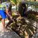 bora-bora-tahitien-four-dejeuner-luxe-snorkeling-tour