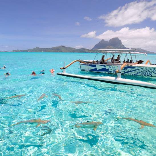 about-bora-bora-lagoon-snorkeling-tour