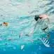 lagoon-service-snorkeling-stingrays-group-tour-bora-bora