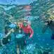 bora-bora-lagoon-service-snorkeling-activity