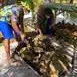 bora-bora-snorkeing-tour-luxury-tahitian-oven-motu-lunch