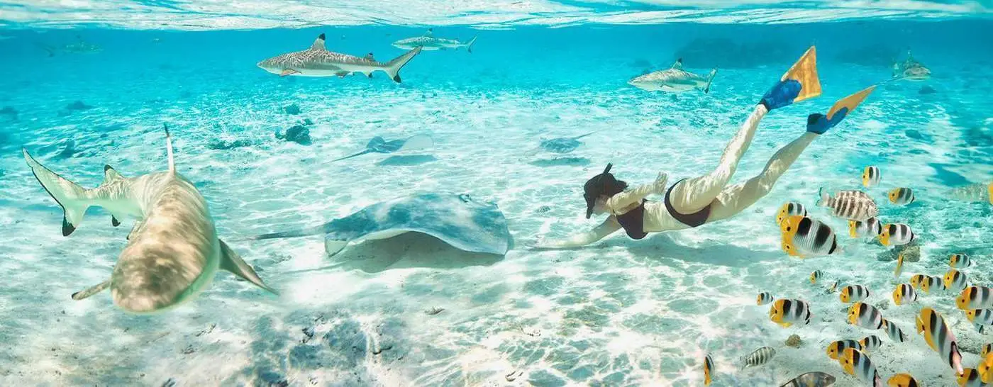 bora-bora-private-tour-header