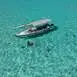 bora-bora-full-day-private-snorkeling-tour