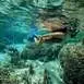 snorkeling-lagoon-tour-bora-bora-private-full-day