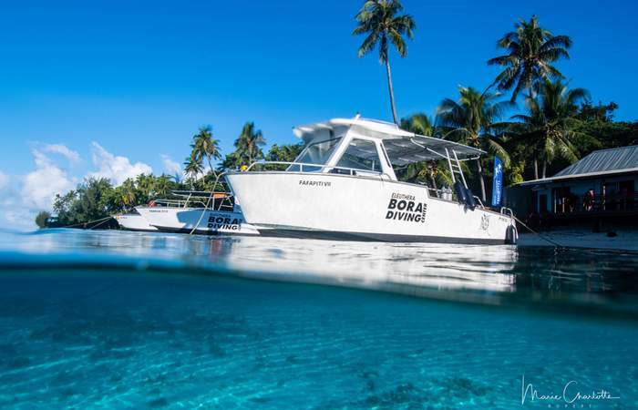 eleuthera-bora-diving-center-combo-private-snorkeling-motu-lunch-scuba-diving