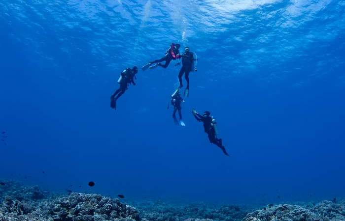 eleuthera-bora-diving-center-combo-scuba-diving-private-snorkeling-motu-lunch